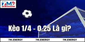 5 Cách Hiểu Và Áp Dụng Chuẩn Xác Khi Soi Kèo 0.25