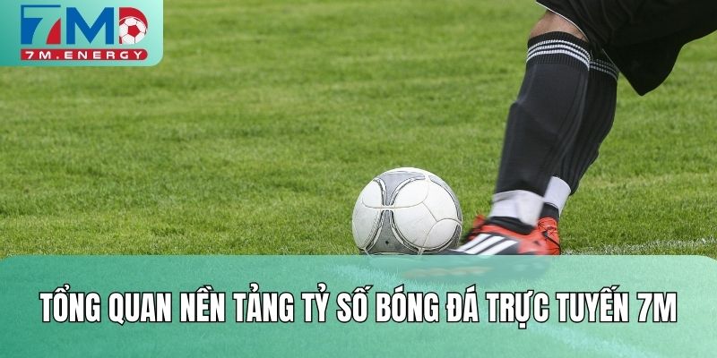 Tổng quan nền tảng tỷ số bóng đá trực tuyến 7M